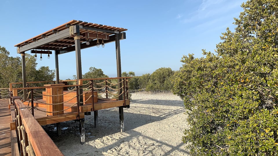 A timber viewing deck and sandy path among mangroves at Jubail Mangrove Park