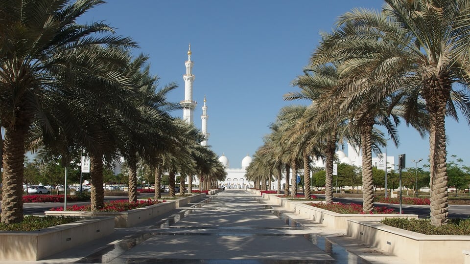 A palm-lined approach avenue with the minarets of Sheikh Zayed Grand Mosque at its far end