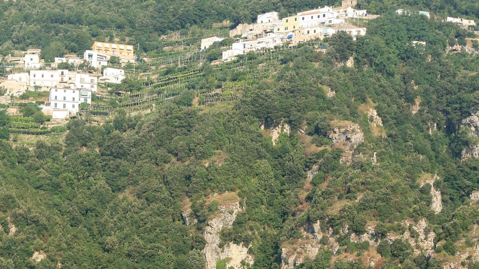 Terraced lemon gardens on the steep valley slopes above Amalfi
