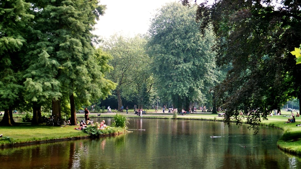 Tall trees and lawns around a pond in Vondelpark, Amsterdam, on a summer day