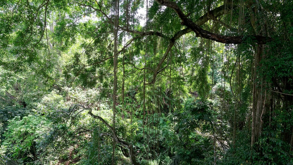 A temple bridge in Ubud Monkey Forest