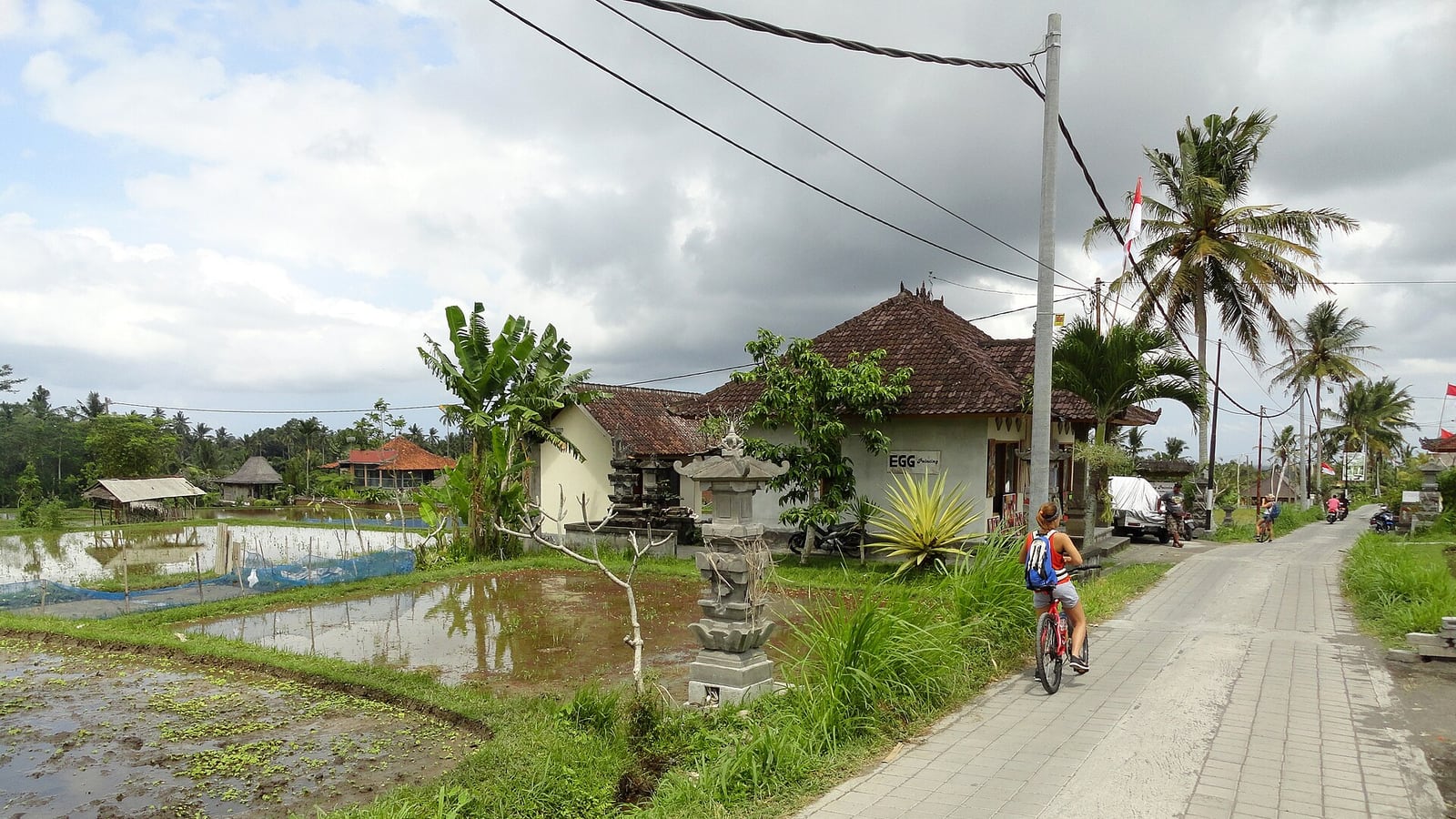 Approach path and rice fields near Campuhan Ridge Walk in Ubud