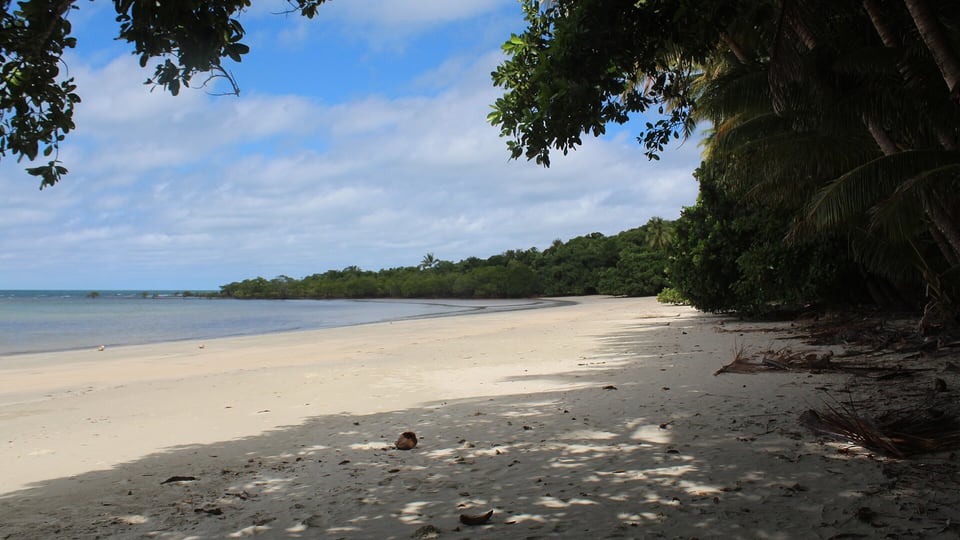 Cape Tribulation, where the Daintree Rainforest meets the Great Barrier Reef