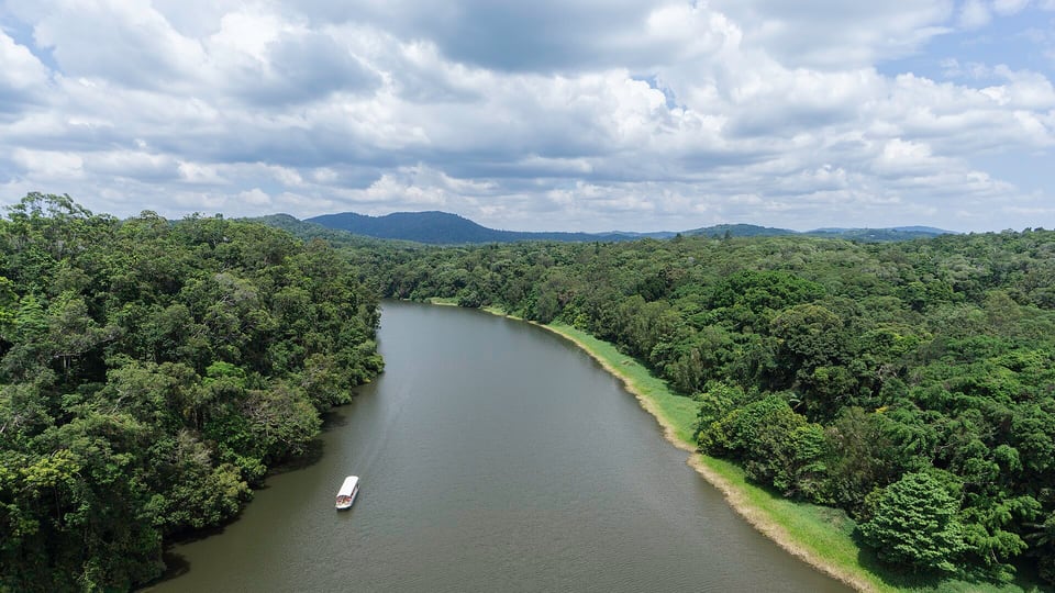 A Skyrail Rainforest Cableway gondola crossing the canopy near Kuranda