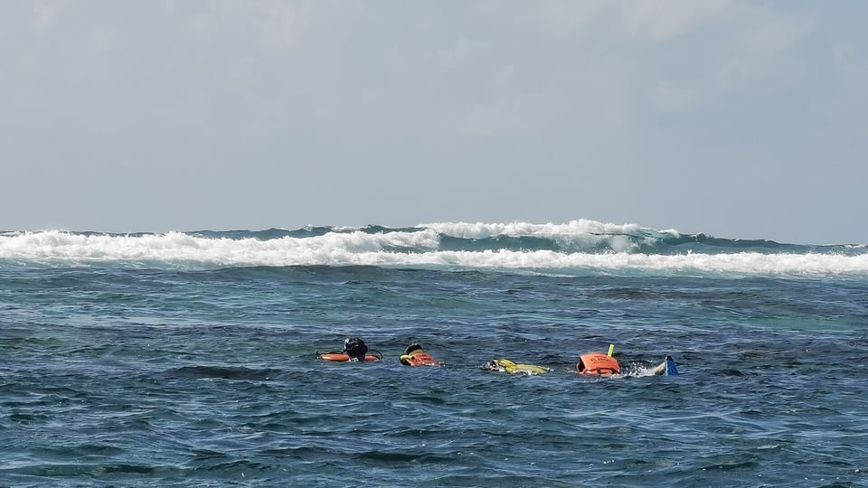 Snorkelers over turquoise reef water