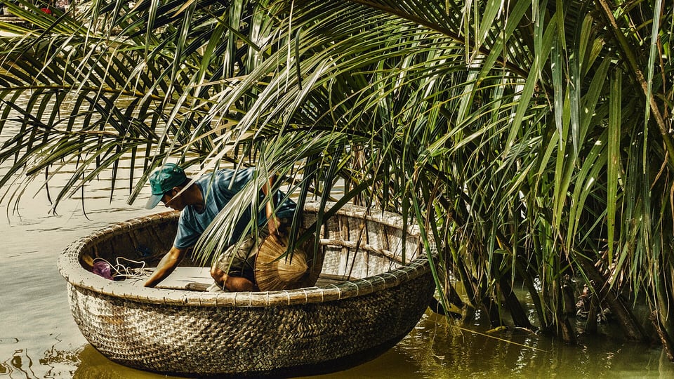 A round basket boat among nipa palms in Cam Thanh, Hoi An