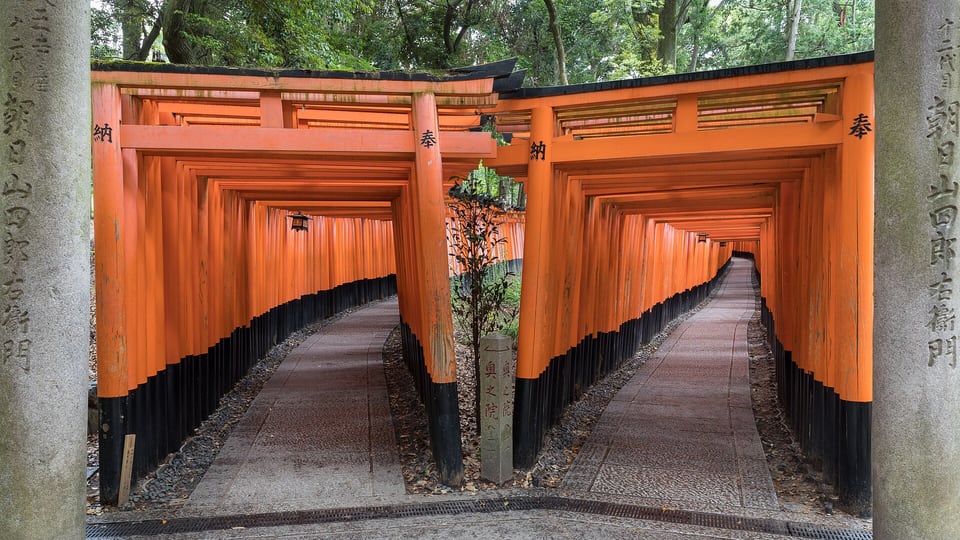 Two tunnels of vermilion torii gates diverging on the Senbon Torii path at Fushimi Inari Taisha