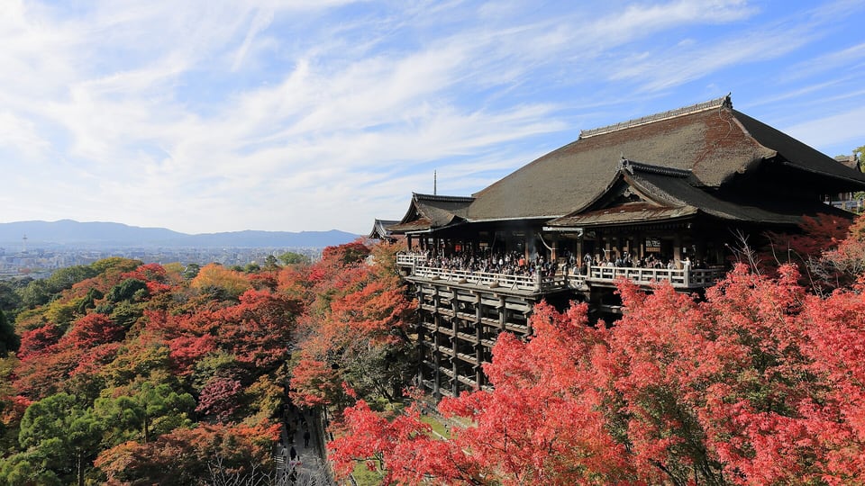 The Kiyomizu-dera main hall stage on its wooden pillars above autumn maples
