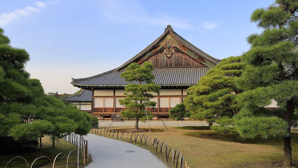 The Ninomaru Palace of Nijo Castle behind pine trees