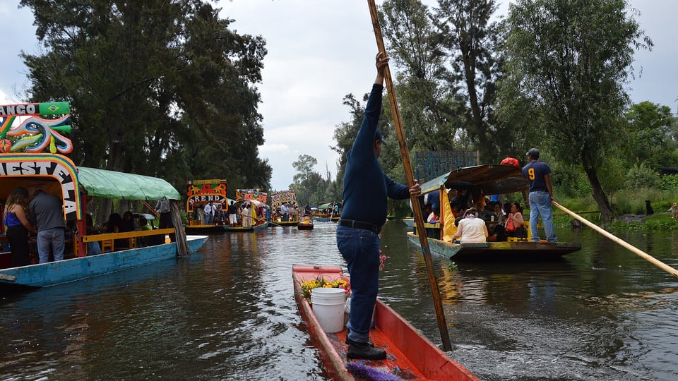 Painted trajineras and a boatman poling along a Xochimilco canal