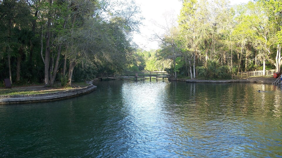 Swimming area at the spring in Wekiwa Springs State Park