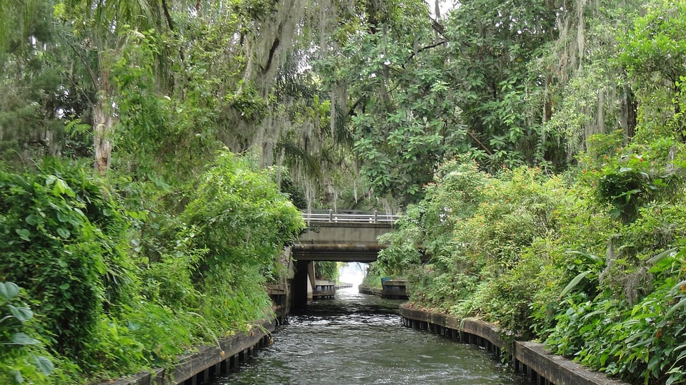 Canal beneath Spanish moss in Winter Park