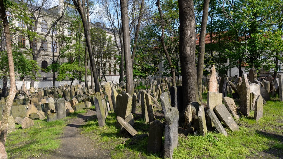 Crowded, tilting gravestones under trees in the Old Jewish Cemetery in Prague's Josefov