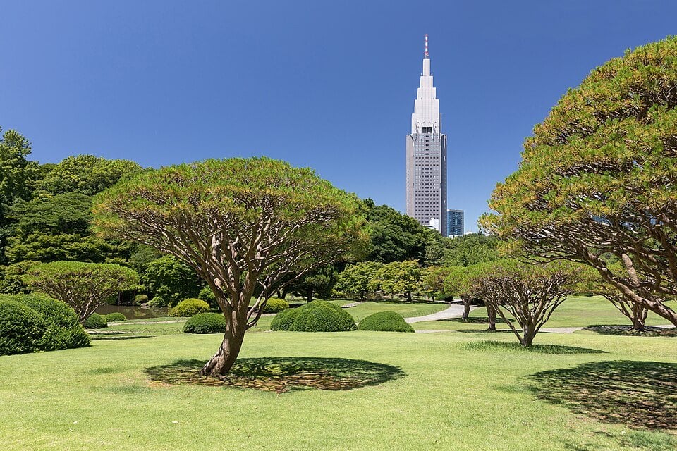 Shinjuku Gyoen gardens and the NTT DoCoMo Yoyogi Building