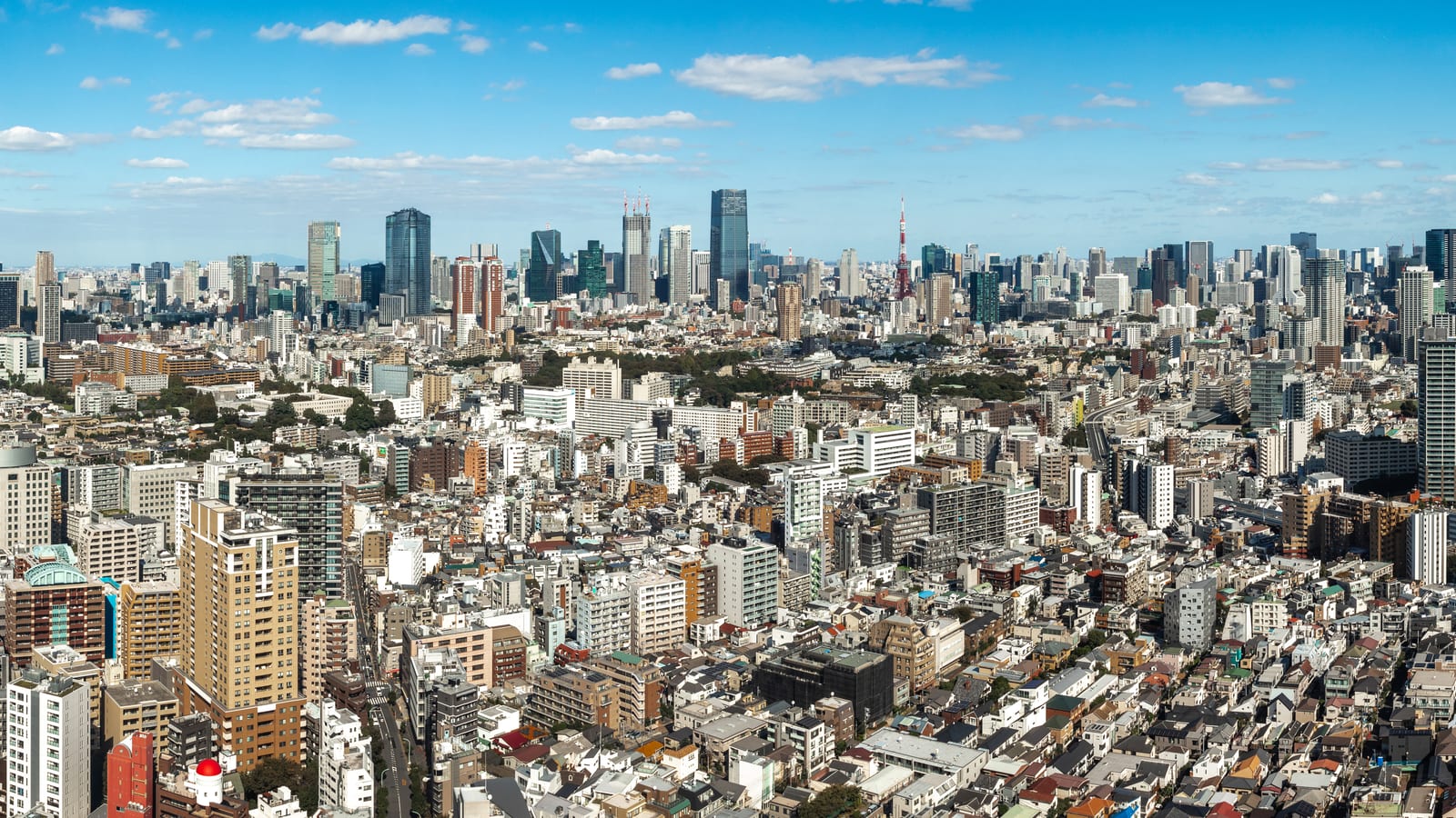 Vue sur Tokyo avec la Skytree dominant les quartiers urbains