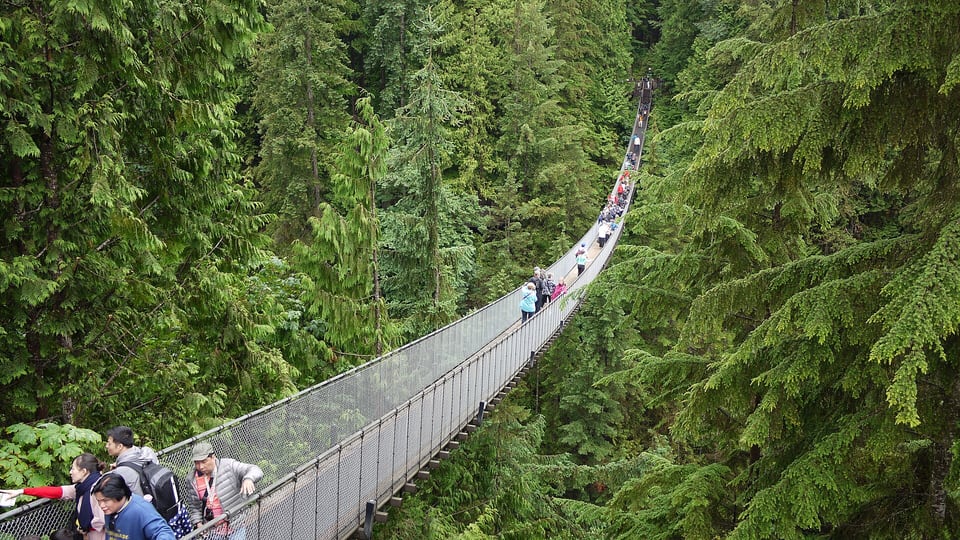 Visitors crossing the Capilano Suspension Bridge above a forested canyon