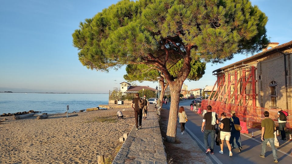 The beach and seafront promenade on the Lido under a stone pine